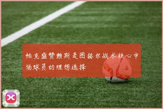 帕克盛赞赖斯是图赫尔战术核心中场球员的理想选择