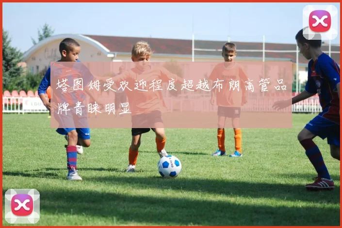 塔图姆受欢迎程度超越布朗高管品牌青睐明显