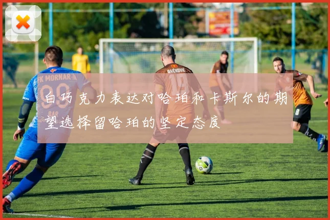 白巧克力表达对哈珀和卡斯尔的期望选择留哈珀的坚定态度