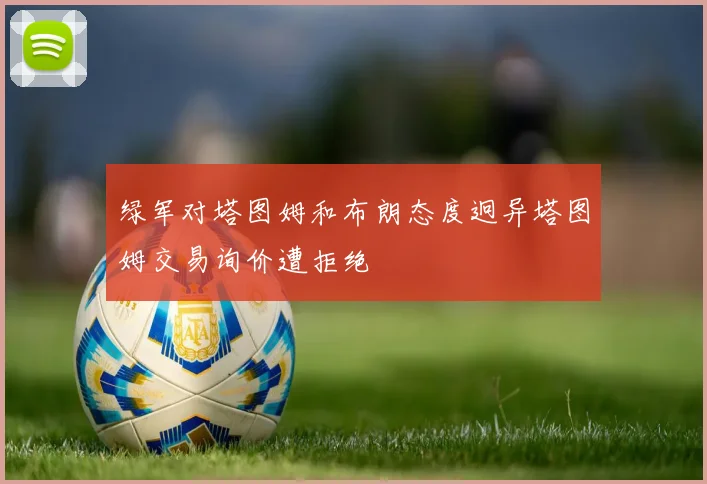 绿军对塔图姆和布朗态度迥异塔图姆交易询价遭拒绝
